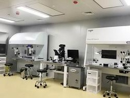 第三代试管技术如何预防遗传疾病，家族遗传性疾病能否规避？