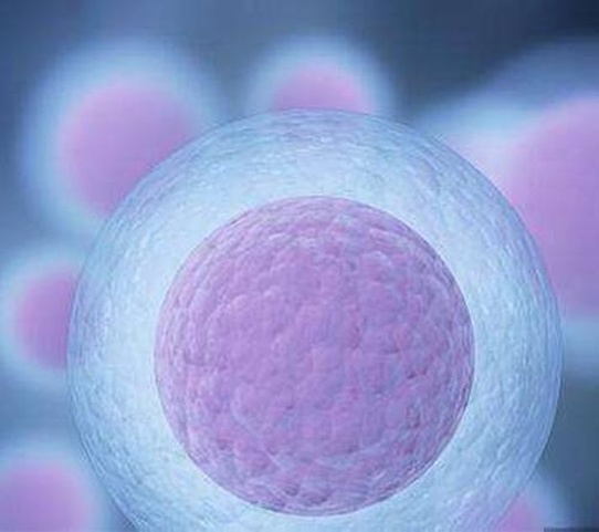 上海市第一妇婴保健院做试管婴儿需要花费多少钱？