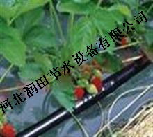 湖南怀化市甘蔗温室大棚滴灌 滴水管高强度耐磨滴灌管配套图片
