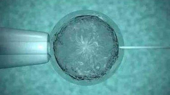 三代试管婴儿怎么才能成功？首先要符合这些要求才行